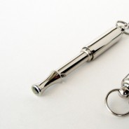 Whistle