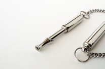 Whistle